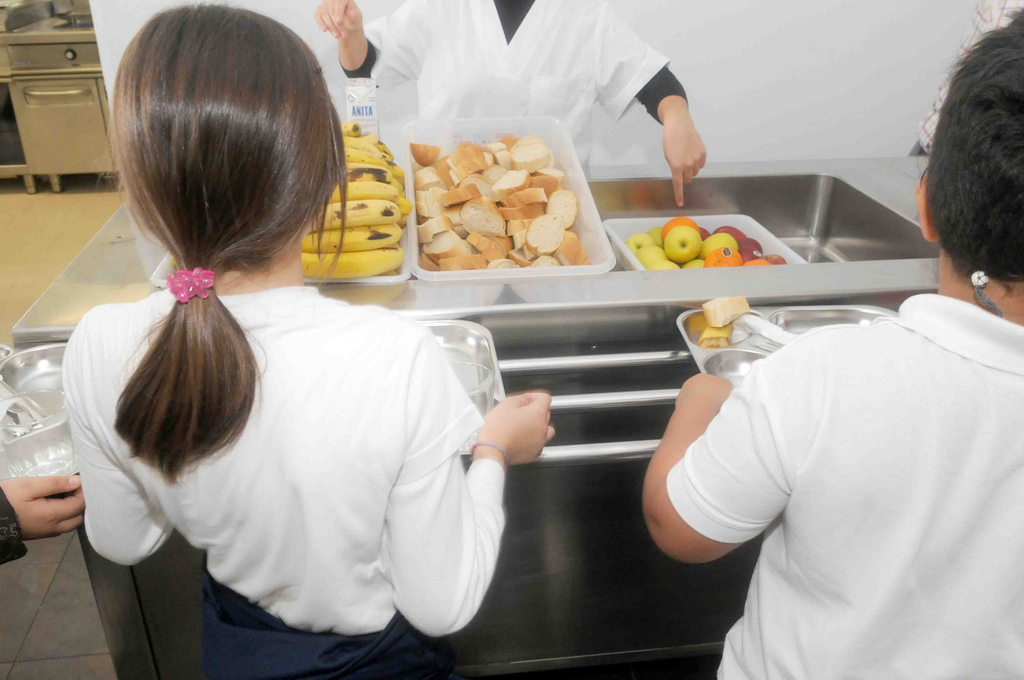 Assessorament tria i seguiment menjador escolar